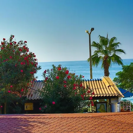 Apartamento Oenemli